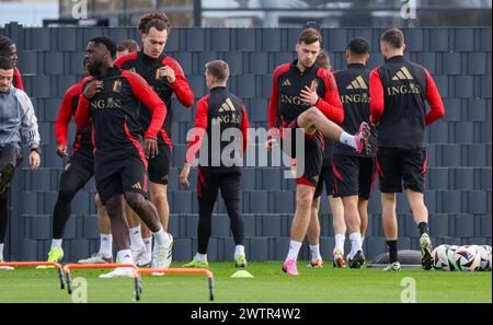 Tubize, Belgio. 19 marzo 2024. Olivier Deman del Belgio raffigurato in azione durante una sessione di allenamento della nazionale belga di calcio Red Devils, presso il centro di allenamento della Royal Belgian Football Association, a Tubize, martedì 19 marzo 2024. Sabato, i Red Devils giocano un'amichevole contro l'Irlanda, parte dei preparativi per l'Euro 2024. BELGA PHOTO VIRGINIE LEFOUR credito: Belga News Agency/Alamy Live News Foto Stock