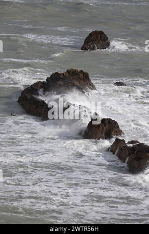 Scogli e mare al largo della costa del Dorset a St Oswald's Bay, in marzo, Dorset, Inghilterra, Regno Unito Foto Stock