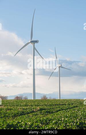 due mulini a vento che si innalzano dai campi verdi. Energia rinnovabile. Energia sostenibile. Foto Stock