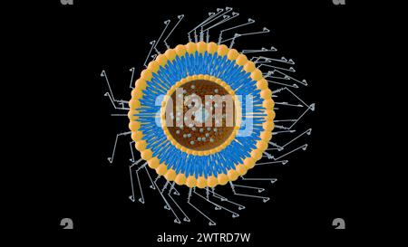 rendering 3d di glicole polietilenico coniugato liposoma e biotina Foto Stock