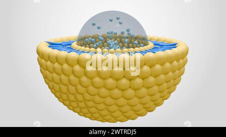 rendering 3d della nanomedicina all'interno del bilayer lipidico liposomico Foto Stock