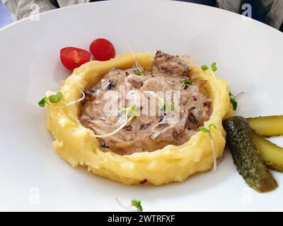 Stufato di manzo alla Stroganoff in un nido di purè di patate con cetriolo sottaceto e pomodoro servito in stile caffetteria. Foto Stock