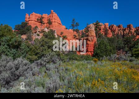 Vista panoramica lungo la Scenic Byway 12, Red Rock Canyon, Dixie National Forest, Utah, Stati Uniti. Foto Stock