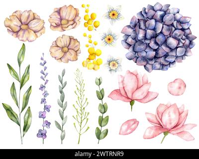Illustrazione ad acquerello disegnata a mano con fiori, rametti e foglie. Set per negozio di fiori per decorare e disegnare souvenir, poster, cartoline e stampe Foto Stock