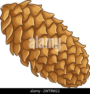 Illustrazione dettagliata colorata dei coni dell'abete Illustrazione Vettoriale