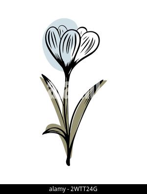 Crocus in stile schizzo con forme di colore astratte, disegnato a mano isolato su sfondo bianco. Illustrazione Vettoriale