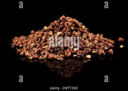 Mucchio di pepe cinese del Sichuan isolato su sfondo nero Foto Stock