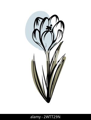 Crocus in stile schizzo con forme di colore astratte, disegnato a mano isolato su sfondo bianco. Illustrazione Vettoriale