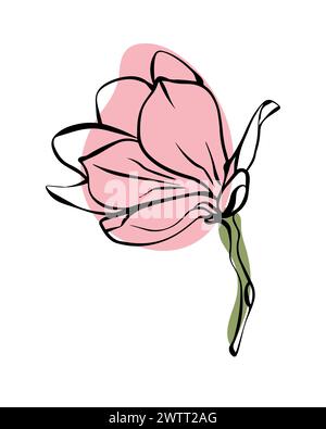 Magnolia in stile sketch con forme di colore astratte, disegnata a mano isolata su sfondo bianco. Illustrazione Vettoriale