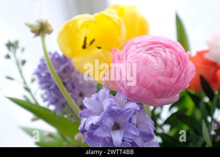 display a fiori retroilluminato in vaso e sfondo bianco Foto Stock