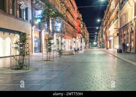 Strada dello shopping di notte nel centro di Tolosa, Francia Foto Stock