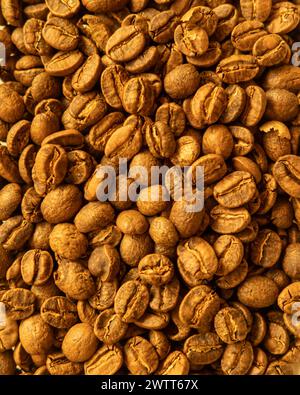 Chicchi di caffè marrone e verde assortiti, un chicco intero al centro Foto Stock