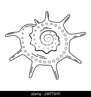 Illustrazione vettoriale Seashell. Profilo in bianco e nero pagina da colorare Seashell per bambini e adulti. Pagina per relax e meditazione. Illustrazione vettoriale Illustrazione Vettoriale