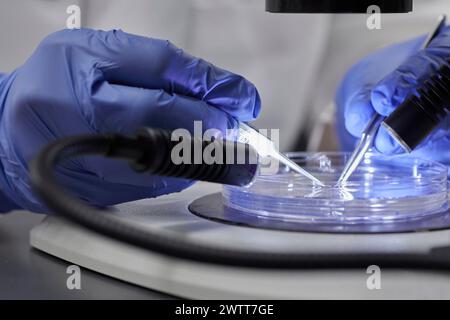 Attraente scienziata che esegue test con sangue e peppet in provetta per risultati dna Foto Stock