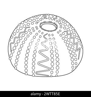 illustrazione vettoriale della shell del riccio di mare. Profilo bianco e nero ricci di mare pagina da colorare per bambini e adulti. Pagina per relax e meditazione. Illustrazione vettoriale Illustrazione Vettoriale