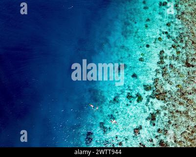 Gli amanti dello snorkeling esplorano una vivace barriera corallina dall'alto Foto Stock