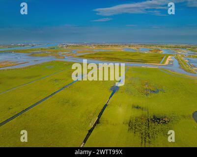 Vista aerea di una zona umida con vivaci campi verdi Foto Stock