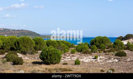 Pini verdi italiani e acque blu del Mediterraneo sull'isola Sardegna in Italia. Foto Stock