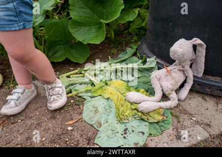 Il giocattolo dimenticato di un bambino si trova abbandonato accanto a una pianta di rabarbaro Foto Stock