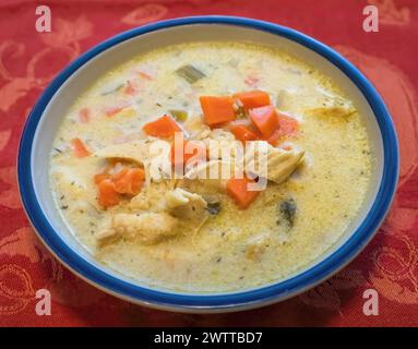 Zuppa di riso di pollo e gelsomino con carote, cipolla, aglio e sedano, fatta in casa in una fredda giornata invernale a Taylors Falls, Minnesota USA. Foto Stock