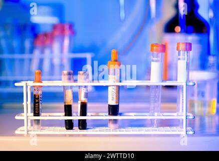Un colorato laboratorio scientifico con provette riempite di campioni Foto Stock