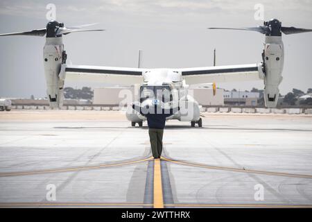 SAN DIEGO (14 marzo 2024) - Un CMV-22 Osprey assegnato al Fleet Logistics Multi-Mission Squadron (VRM) 30 torna da un controllo operativo dei freni Foto Stock