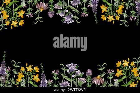 Illustrazione acquerello. Striscione rettangolare su sfondo scuro di erbe, fiori, origano, echinacea, hypericaceae, heather disegnata a mano Foto Stock
