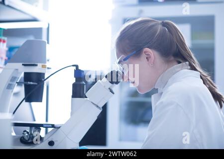 Scienziato che esamina i campioni sotto un microscopio in un laboratorio Foto Stock