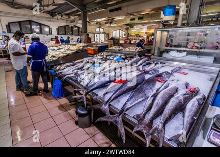 ABU DHABI, Emirati Arabi Uniti - 15 OTTOBRE 2021: Bancarelle di pesce al mercato al Mina di Abu Dhabi, Emirati Arabi Uniti. Foto Stock