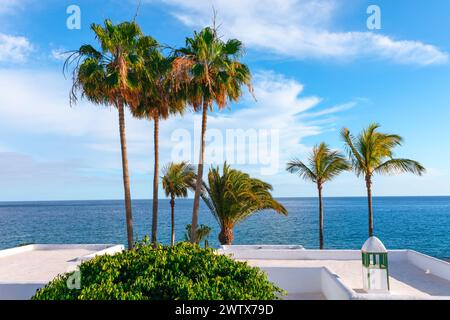 Palme sulla terrazza della casa sullo sfondo del mare Foto Stock