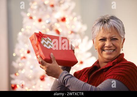 Donna anziana, ritratto e regalo per Natale, felicità con scatola e festeggia le vacanze a casa. Stagione festiva, decorazioni e regali con sorriso Foto Stock