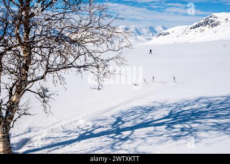 Sciatore nordico/sciatore sulle montagne invernali di Jotunheim, Norvegia Foto Stock