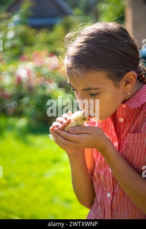 Un bambino gioca con una gallina. Messa a fuoco selettiva. Foto Stock