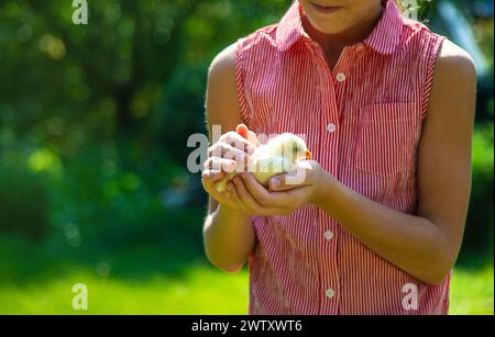 Un bambino gioca con una gallina. Messa a fuoco selettiva. Foto Stock