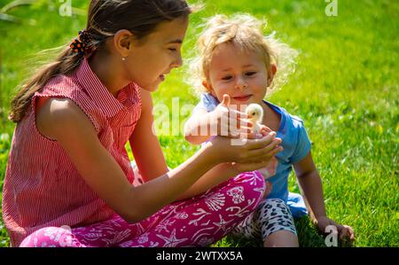 Un bambino gioca con una gallina. Messa a fuoco selettiva. Foto Stock