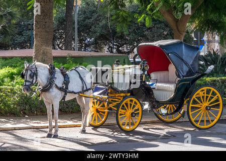 Carrozza trainata da cavalli parcheggiata accanto a Plaza de la Marina, nel centro urbano della città di malaga, Spagna Foto Stock