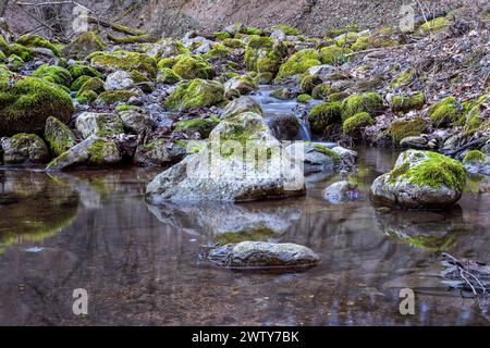 Splendido fiume di montagna nelle montagne Apuseni, gole di Borzesti Foto Stock