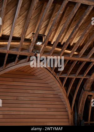 Struttura in legno del soffitto. Brighton Dome Corn Exchange and Studio Theatre, Brighton, Regno Unito. Architetto: Feilden Clegg Bradley Studios LLP, 2 Foto Stock