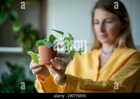 Donna interessata guarda le nuove piante Scindapsus dopo l'acquisto in un negozio di piante che tiene in mano a casa. Foto Stock