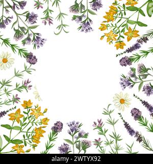 Illustrazione acquerello. Cornice rotonda di erbe e fiori prati, origano, origano, ipericacee disegnate a mano in acquerello verde e viola. Foto Stock