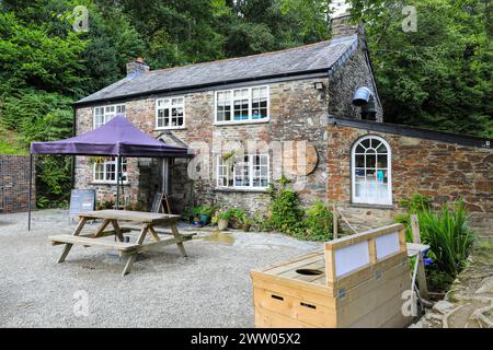 The Woods Cafe at Cardinham Woods, una sede gestita da Forestry England, Cornovaglia, Inghilterra, Regno Unito Foto Stock