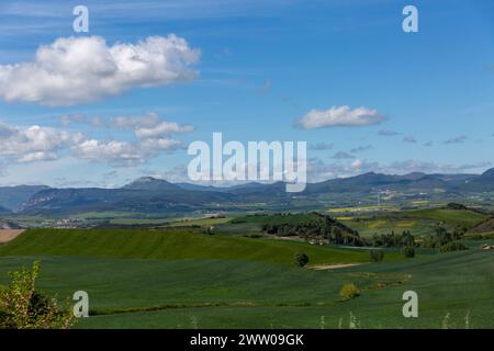 Cendea de Cizur, Spagna Foto Stock