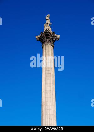 Nelson's Column in Trafalgar Square a Londra, Regno Unito Foto Stock