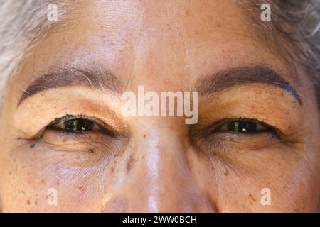 Primo piano degli occhi di donna birazziale anziana, rivelando rughe e lentiggini Foto Stock