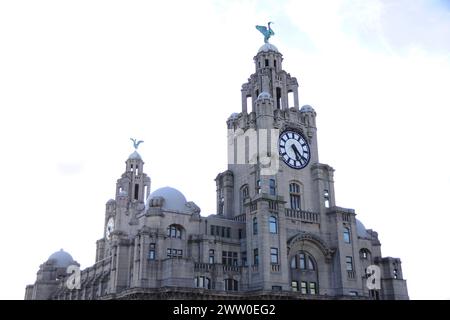 Vista del centro di Liverpool sul Liver Building, sugli uccelli del fegato e sul primo edificio in cemento del Regno Unito Foto Stock