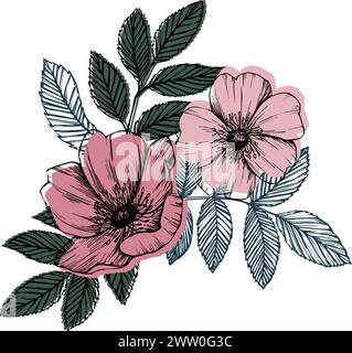 Composizione vettoriale dell'anca rosa con foglie e fiori. Rosa selvatica, disegno a linee di erbe medicinali, boccioli rosa e rosso. Illustrare l'illustrazione grafica Illustrazione Vettoriale