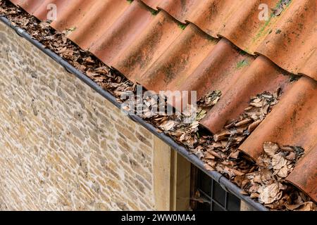 se ne va nella fogna di una casa Foto Stock