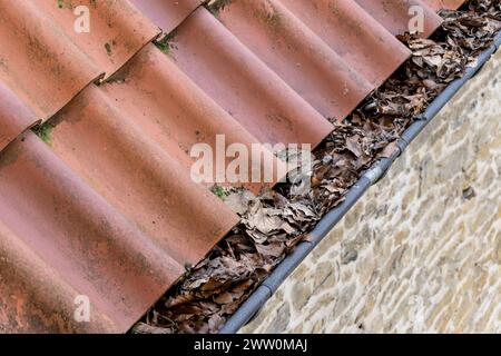 se ne va nella fogna di una casa Foto Stock