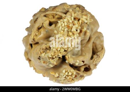 Rothenburger Schneeball (pasticceria da palla di neve dalla città tedesca di Rothenburg) con torrone ripieno isolato su sfondo bianco Foto Stock