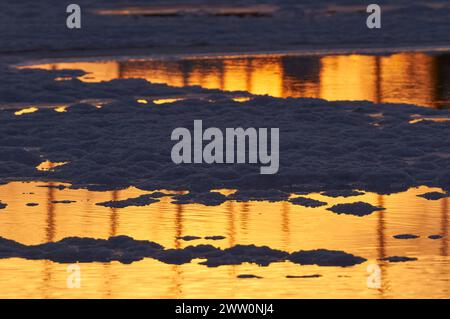 Piccoli cumuli di sale al tramonto nelle saline di Salinas d’en Ferrer vicino a la Savina (parco naturale di Ses Salines, Formentera, Pityuses, Isole Baleari, Spagna) Foto Stock